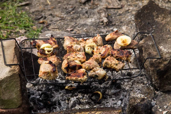 Assar carne de porco na grelha. Carne nas brasas, clo churrasco — Fotografia de Stock