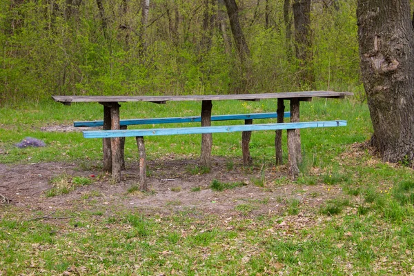Piknik helyszínen fából készült asztal és padok a forest park — Stock Fotó