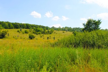 Yaz, yatay, çayır, ağaçlar ve tepeler