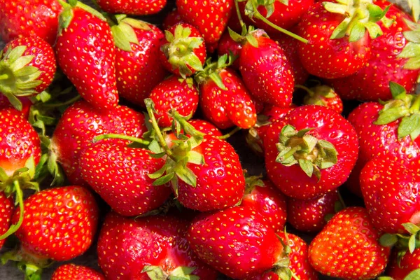 成熟的新鲜草莓背景 — 图库照片