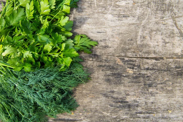 Fresco endro verde e ervas de salsa em mesa de madeira rústica. Topo v — Fotografia de Stock