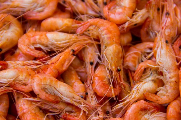 Close-up of boiled shrimps for background — Stock Photo, Image