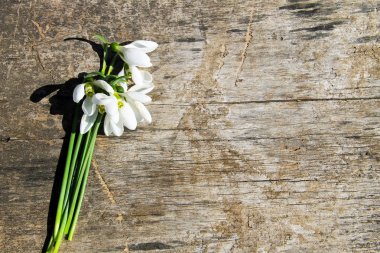 Ahşap arka plan üzerinde beyaz kardelen buket