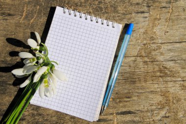 Buket boş not defteri ve kalem ahşap arka plan üzerinde beyaz kardelen