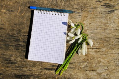 Buket boş not defteri ve kalem üzerinde ahşap beyaz kardelen 