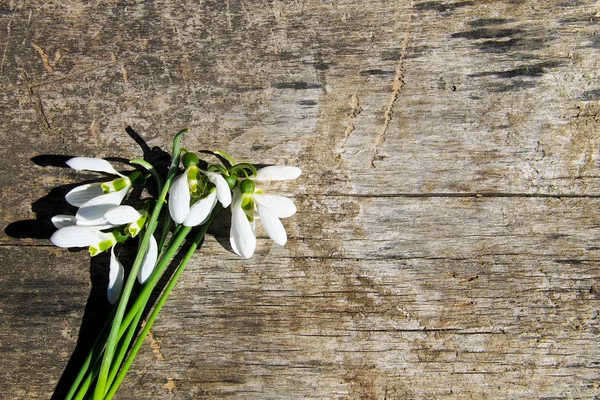 Ahşap arka plan üzerinde beyaz kardelen buket