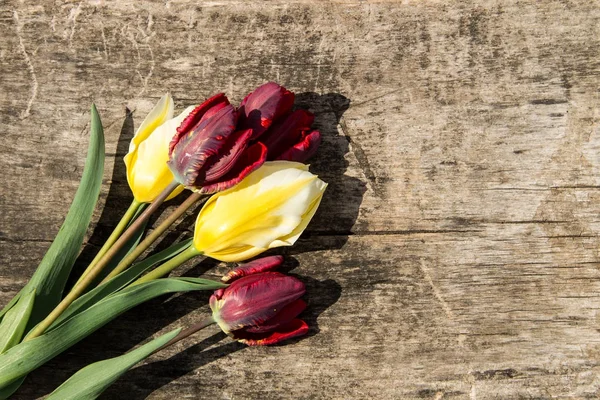 Tulipanes rojos y amarillos sobre fondo rústico de madera con copia spac — Foto de Stock