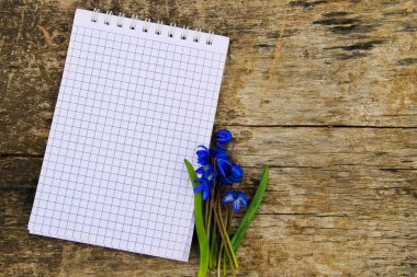 Ahşap zemin üzerine mavi scilla çiçekli boş not defteri