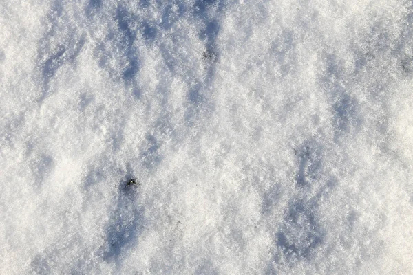 Beyaz kar doku — Stok fotoğraf