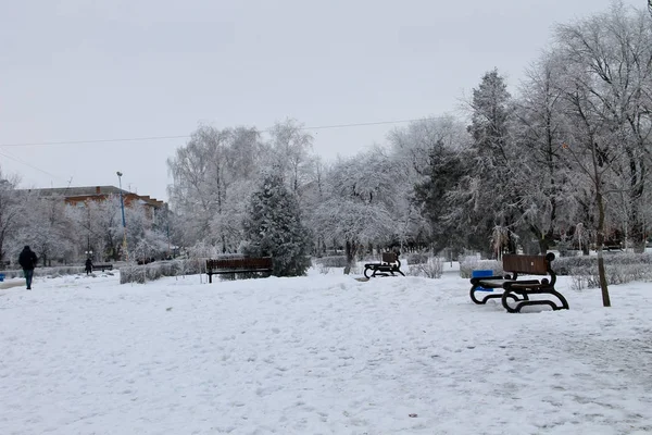 Зимний пейзаж в городском парке — стоковое фото