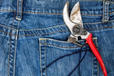 Mavi jeans cebinde budama makası