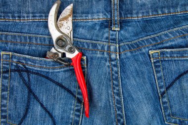 Mavi jeans cebinde budama makası