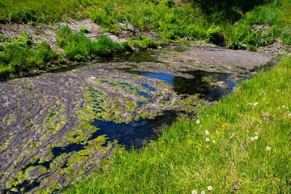De afvoer van het water in het kanaal. Groene algen in wateroppervlak. — Stockfoto