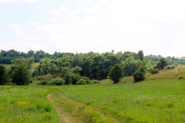 Yaz, yatay, çayır, ağaçlar ve tepeler
