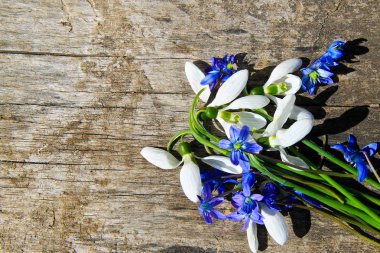 Ahşap arka plan üzerinde ilk bahar çiçekleri buketi