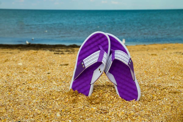 Par flip flops sticker upp på en sandig strand — Stockfoto