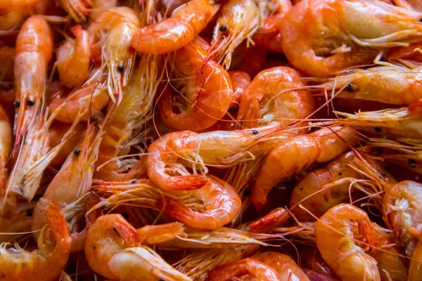 Close-up of boiled shrimps for background — Stock Photo, Image