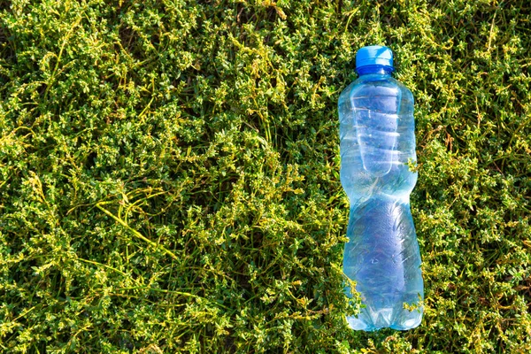 Garrafa com água limpa fresca na grama verde — Fotografia de Stock