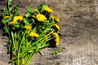 Rustik ahşap zemin üzerine sarı karahindiba çiçekler. Üstten Görünüm