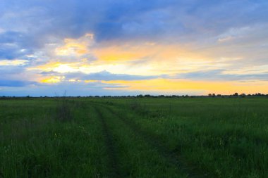 günbatımı çayır üzerinde