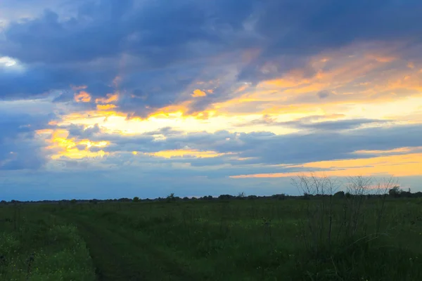 草原の夕日 — ストック写真