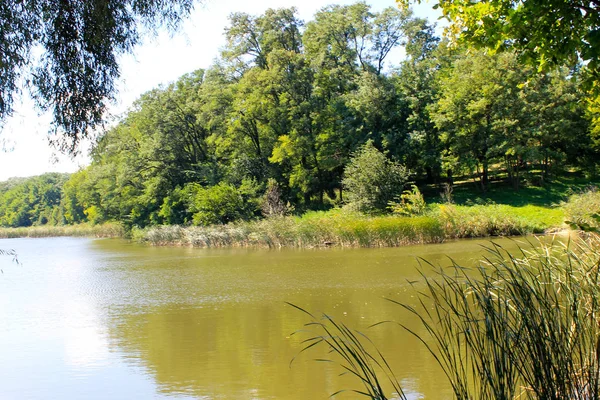 Beau lac en été — Photo