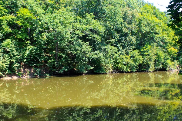 Lake in forest — Stock Photo, Image