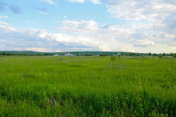 Zielona łąka i błękitne niebo — Zdjęcie stockowe