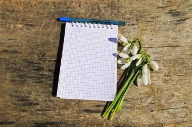 Buket boş not defteri ve kalem ile beyaz kardelen