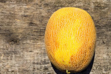Eski ahşap masa üzerinde olgunlaşmış bütün kavun