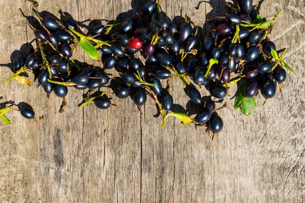 Bacche di ribes nero su sfondo rustico in legno . — Foto Stock