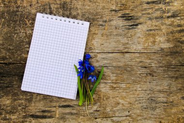 Ahşap zemin üzerine mavi scilla çiçekli boş not defteri