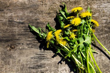 Rustik ahşap zemin üzerine sarı karahindiba çiçekler. Üstten Görünüm