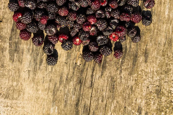 Blackberries на деревенском деревянном фоне. Вид сверху с копией — стоковое фото