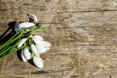 Ahşap arka plan üzerinde beyaz kardelen buket