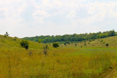 Yaz, yatay, çayır, ağaçlar ve tepeler
