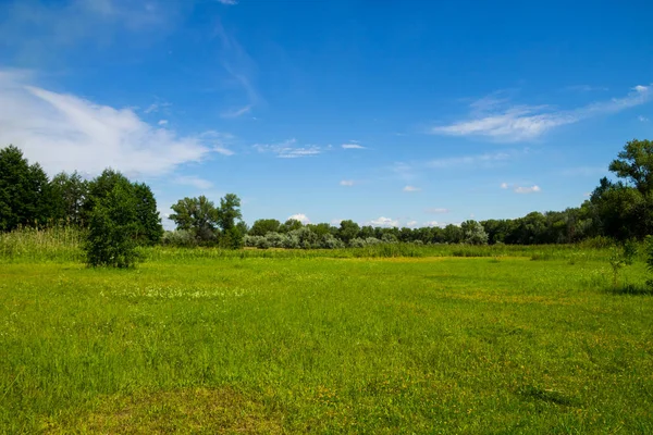 Zomer landschap met groene bomen, weide en blauwe hemel — Stockfoto