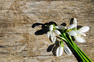 Ahşap arka plan üzerinde beyaz kardelen buket