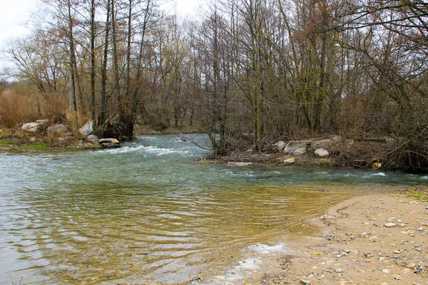 Річка в лісі навесні. — стокове фото