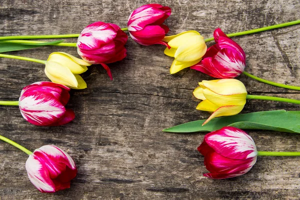 Tulipanes rojos y amarillos sobre fondo rústico de madera — Foto de Stock