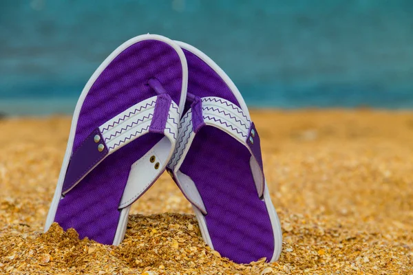 Pair of flip flops sticking up on a sandy sea beach — Stock Photo, Image
