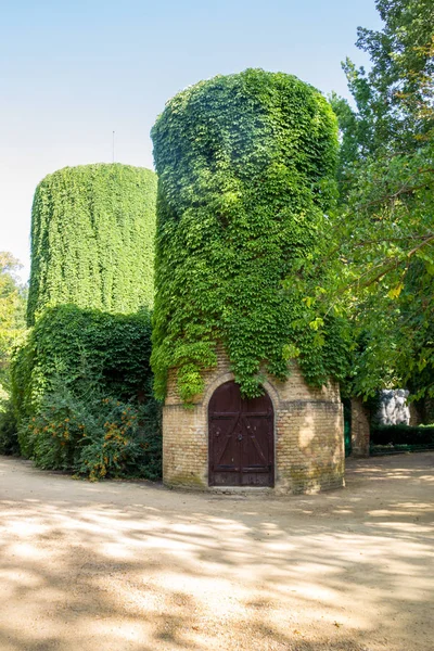 Water tower covered with wild grapes in Askania Nova, Ukraine — Stock Photo, Image