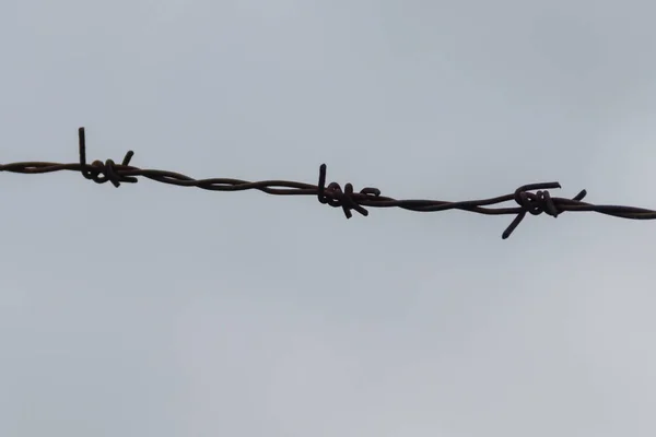 Dikenli tel bulutlu gökyüzü karşı Close-Up — Stok fotoğraf