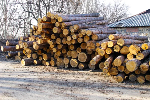 Στοίβα από κατασκευή ακατέργαστης ξυλείας στην κορμοπλατεία — Φωτογραφία Αρχείου