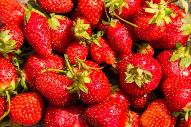 Olgun taze çilek arka planı 