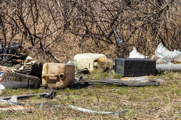 Vuilnisbelt in bos onder bomen — Stockfoto