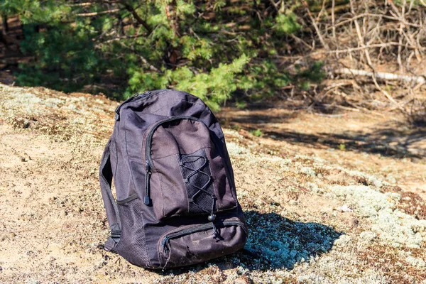 Туристичний рюкзак на галявині в сосновому лісі — стокове фото