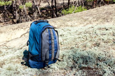 Tourist backpack on the glade in pine forest