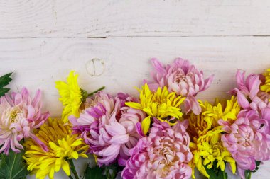 Beyaz ahşap arka planda güzel kasımpatılar. Üst görünüm, alanı kopyala