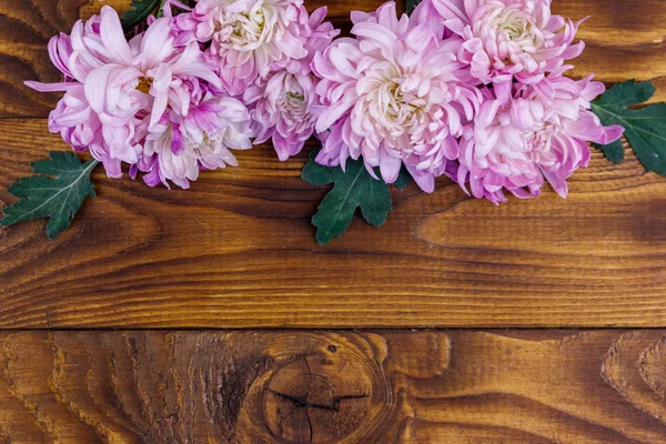 Beautiful chrysanthemums on wooden background. Top view, copy space — Stock Photo, Image